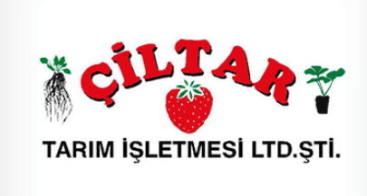 ciltar-tarim