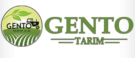 gento
